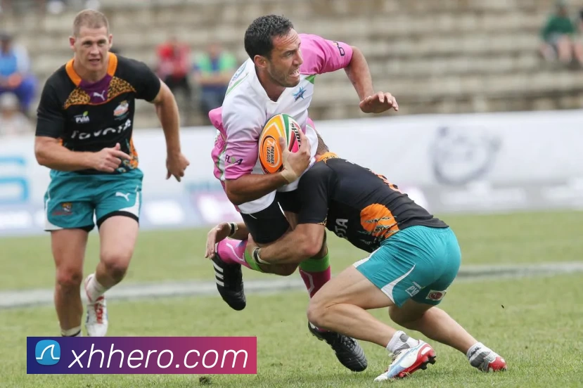 新航娱乐官网发展历程